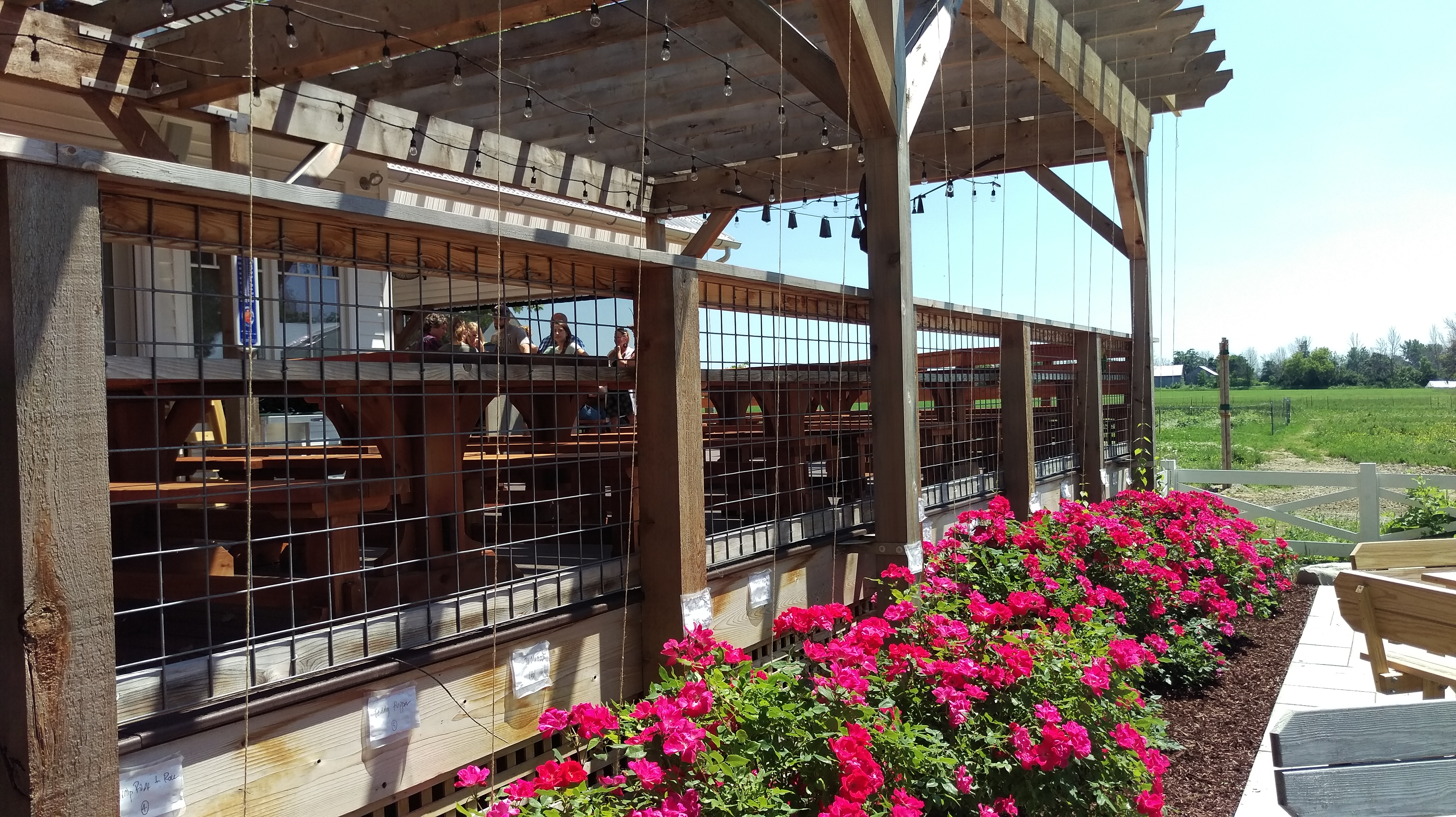 the taproom at bird creek farms, port austin, MI Bob's Beer Blog